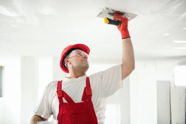 Best Drywall Sanding and Smoothing  in Fountainebleau, FL